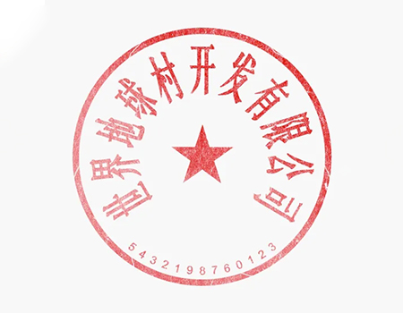 PDF制作带日期变化的公章 电子图章 电子章 印章